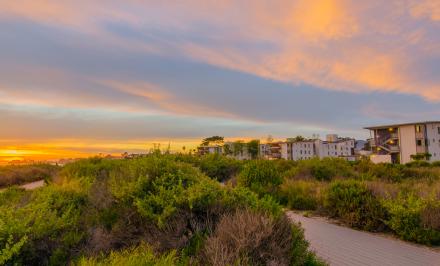 Manzanita Village